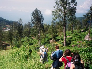 Hike in Sri Lanka