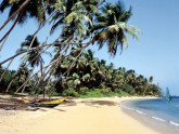 Beach in Sri Lanka