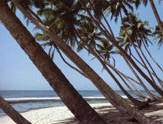 Bentota beach Sri Lanka