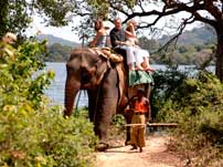 Elephant ride Sri Lanka