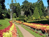 Garden Peradeniya