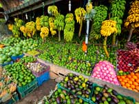 Great market Dambulla