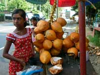 Local market in Sri Lanka