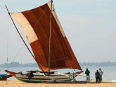 Negombo boats