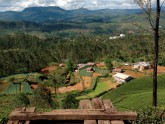 Nuwara Eliya in Sri Lanka