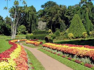 Perradeniya botanical garden