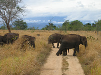 Wasgamuwa National Park