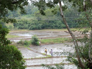 Farmers in Sri Lanka