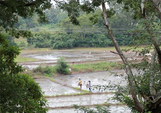 Farmers in Sri Lanka