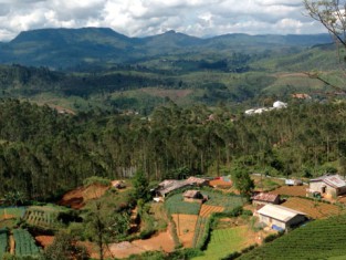 Nuwara Eliya in Sri Lanka