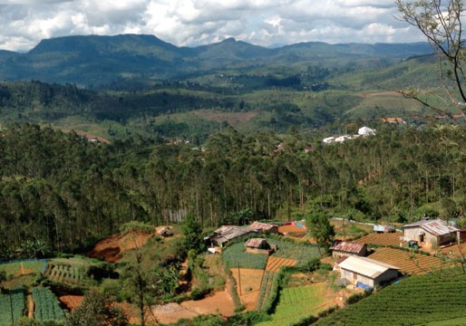 Nuwara Eliya in Sri Lanka