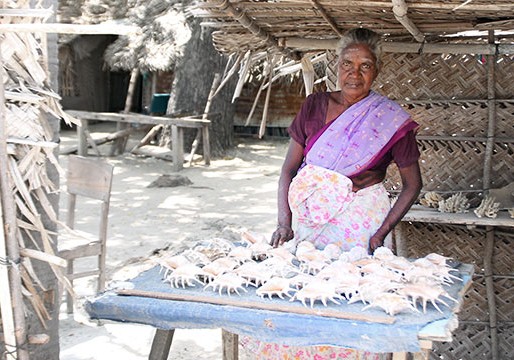 Jaffna Tour