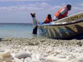 Jaffna fishermen