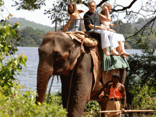 Family on elephant