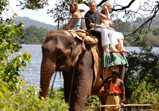 Family on elephant